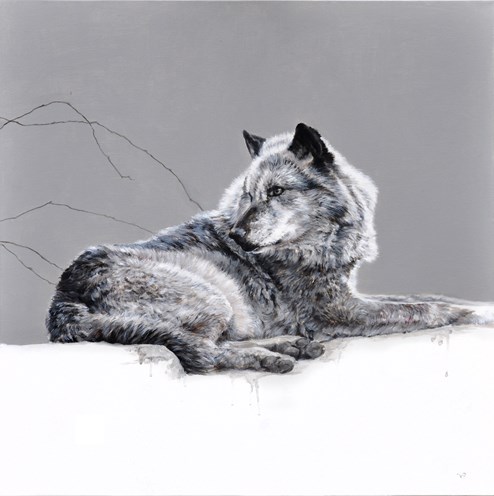 Grey Wolf by Vicky Palmer - Original Painting on Stretched Canvas